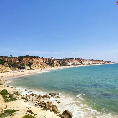 Alsol C 5360 كوارتيرا