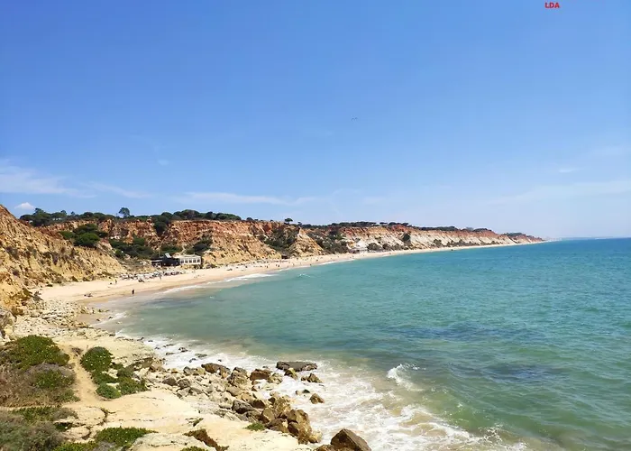 Alsol C 5360 奎特里拉